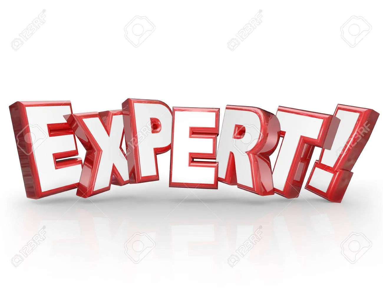 Expert