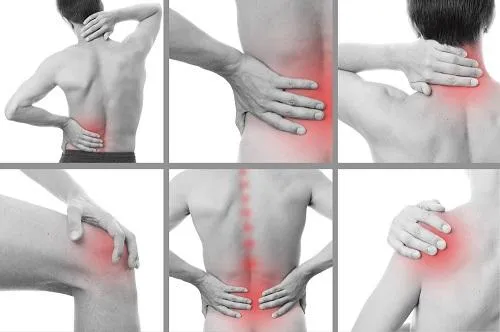 Joint & Muscle Pain